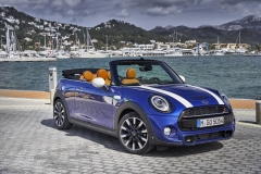 MINI CABRIO (F57) 07