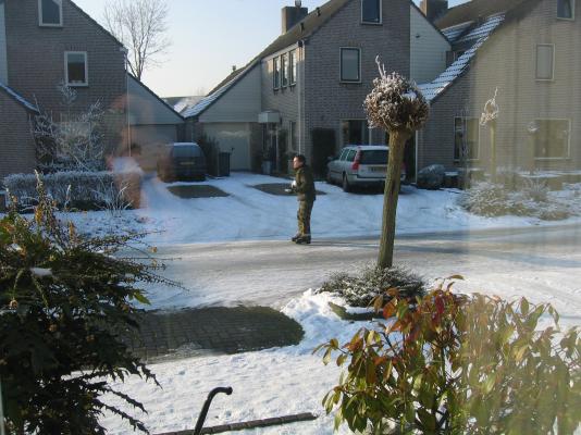 Afbeelding