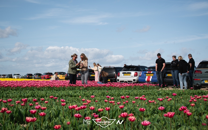 Tulpentocht 2024