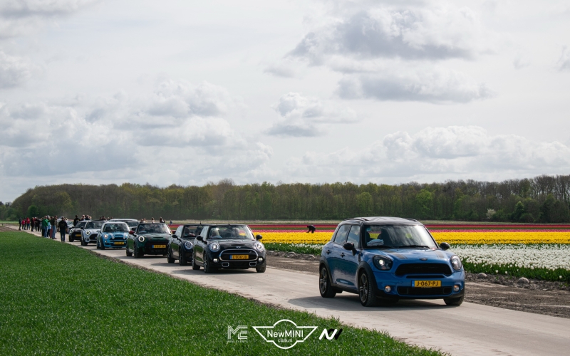Tulpentocht 2024