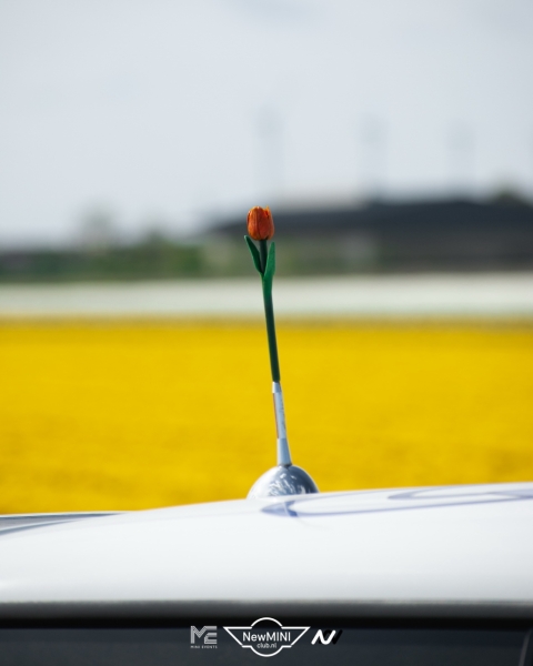 Tulpentocht 2024