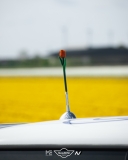 Tulpentocht 2024
