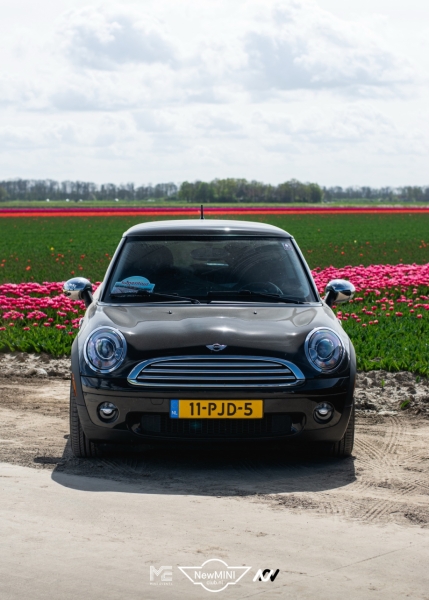 Tulpentocht 2024