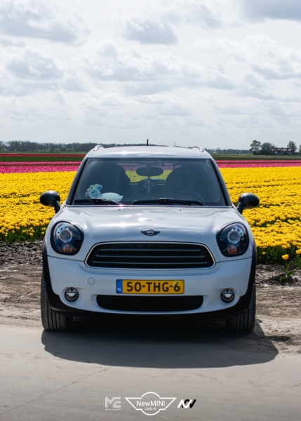 Tulpentocht 2024