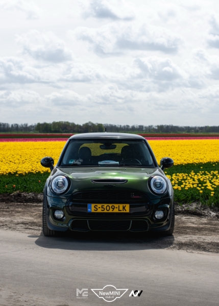 Tulpentocht 2024