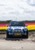 Tulpentocht 2024