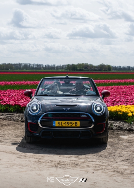 Tulpentocht 2024