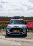 Tulpentocht 2024