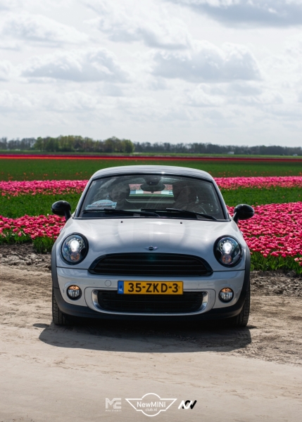 Tulpentocht 2024