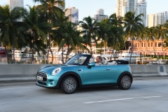 MINI cabrio (F57) 14