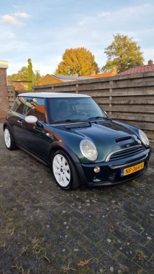mini rechts.jpg