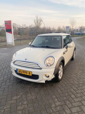 Mini 2011 (7).jpg